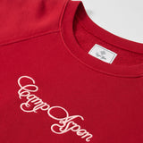 Contrast Raglan Crewneck